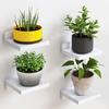 Sala de estar Parede Pendurado Vaso de Flores Decoração de Plantas Prateleira de Armazenamento Prateleira de Parede de Madeira para Flores Prateleira para Vasos Pequena Prateleira para Plantas