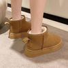 Botas de nieve nuevas de invierno para mujer, zapatos planos cortos de algodón del noreste, de comercio exterior, de terciopelo, con suela gruesa de 4 cm, botas de nieve cálidas para mujer