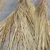 Tiras de bambú tiras amarillas rodajas finas de bambú seda de bambú tiras de bambú decoración de arte floral para bodas material de tejido de bambú DIY jardín de infantes
