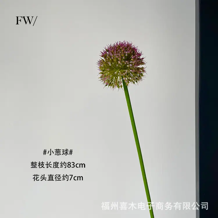 photo-output_2 拷贝.jpg
