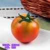 Modelo de frutas y verduras de plástico falsas maíz pepino verde comida muebles de alacena de cocina accesorios de juego de educación temprana