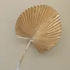 Material de Balde de Ano Novo 2025 Véspera de Ano Novo Fruta Vermelha Folha de Ouro Folha de Ginkgo Folha de Leque Tamanho do Leque Leque Redondo Costas de Tartaruga Dourado