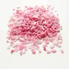250g Mosaico de Vidrio Mica con Bordes Fragmentos Irregulares Recortes para Pintura de Mosaico Transparente Estilo Tiffany