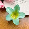 Grampo de Cabelo Flor de Ovo Feminino Grampo de Cabelo Flor de Verão 2025 Novo Grampo Jacaré para Parte de Trás da Cabeça Grampo de Alto Valor de Cor Acessório de Cabelo