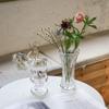 Vaso de Vidro Criativo Simples Estilo Ins Nórdico com Captação de Água Transparente Vaso Celebridade da Internet para Sala de Estar Decoração de Flores Secas Enfeites