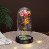 Lámpara de Vidrio con Flor Eterna Rosa Artificial Flor Artificial Regalo Creativo Adornos Tanabata Día de San Valentín Regalo de Navidad Al por Mayor