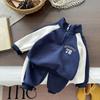 Nuevo Conjunto de Otoño Elegante para Niños, Conjunto de Sudadera de Moda para Niños, Conjunto Deportivo de Dos Piezas a la Moda para Niños Pequeños, Al Por Mayor