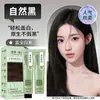 Tinte para el Cabello a Base de Plantas para Cubrir Canas, Crema Tinte para el Cabello Qing Si Tea Language, No Dañino para el Cabello, Color Marrón Frío de Moda para Salones de Belleza