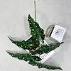 Nuevo producto transfronterizo: planta verde artificial, planta de taro grande, decoración de escritorio y sala de estar para el hogar, decoración de pasillo de boda, planta en maceta