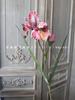 2 cabezas Iris Alice EVA sensación flor artificial estilo natural hermosa decoración Chen color de ensueño arreglo floral de boda