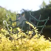 Soporte para Plantas Marco de Trepa Clip Fijo Vid Trepadora Soporte Auxiliar Transfronterizo para Vid Macetero Apilable para Jardinería