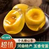 Huevos de Henan, Huevos Centenarios, Huevos Centenarios, Huevos Centenarios Blandos sin Plomo, Especialidad de Henan, Caja Completa al por Mayor, China
