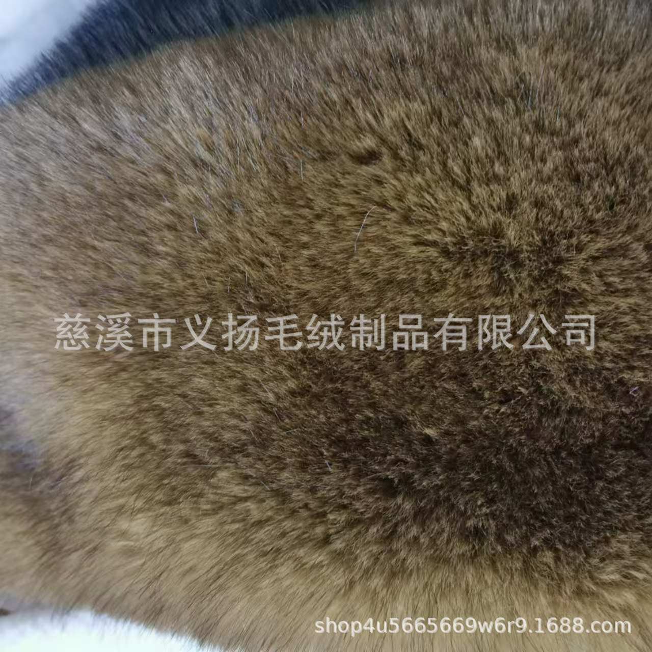 微信图片_20240919131223