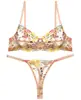 Lencería Sexy Ultra Delgada para Mujer, Sujetador Push-Up de Encaje, Conjunto de Sujetador Transparente de Malla Bordada, Estilo Sexy Puro Deseo