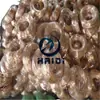 Tubo de Bronce de Aluminio Zhejiang Qal9-4 Aleación Ts4 Cobre Qa10-4-4 Bronce de Aluminio Qal7