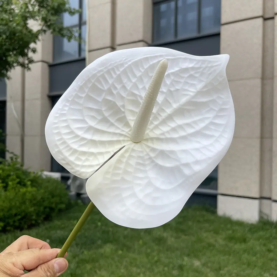 1号3D打印大红掌-xjmlkx 2#奶白心.JPG