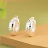 Rey Ciervo Dorado S925 Plata Nuevos Pendientes Calientes de Venta con Forma de C Diseño de Hielo Triturado Pendientes Redondos Pendientes para Mujer Joyería de Plata