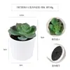 Más de 100 Tipos de Combinaciones de Plantas Suculentas Mini de Plástico Simuladas en Maceta, Mini Bonsáis Suculentos Más Vendidos Transfronterizos, Decoración para el Hogar, Adornos Creativos