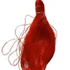 Vendido por Jin Corda Plástica Trançada Oca de 2mm Tubo Fino Macio Nostálgico Tubo de Cola de Fibra de Vidro Cristal Colorido Lei De Zhu de Sucção