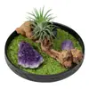 Adornos de Micro Paisaje de Cristal Natural Grava Verde Oliva Racimo de Piedra Cruda Amatista Madera Intemperie Decoración de Escritorio de Oficina