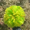 Pompones de porristas flores de mano flores de mano para bailar manijas para baile en plaza accesorios para agitar la mano no permitidos