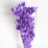 Flor seca, flor octogonal, pequeña, fresca, arte natural, hecho a mano, planta creativa, flores decorativas, accesorios de tiro, venta al por mayor