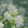 Líquido de Relleno de Aceite Esencial de Plantas de Aromaterapia de 15 ml para Difusor de Piedra de Yeso, Adornos Aromáticos, Especializado para Uso en Interiores, Fragancia de Alta Gama y Larga Duración