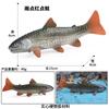 Simulação Tubarão Modelo de Animal Marinho Grande Tubarão Branco Megalodon Tubarão Tigre Baleia Azul Polvo Polvo Lagosta Brinquedo