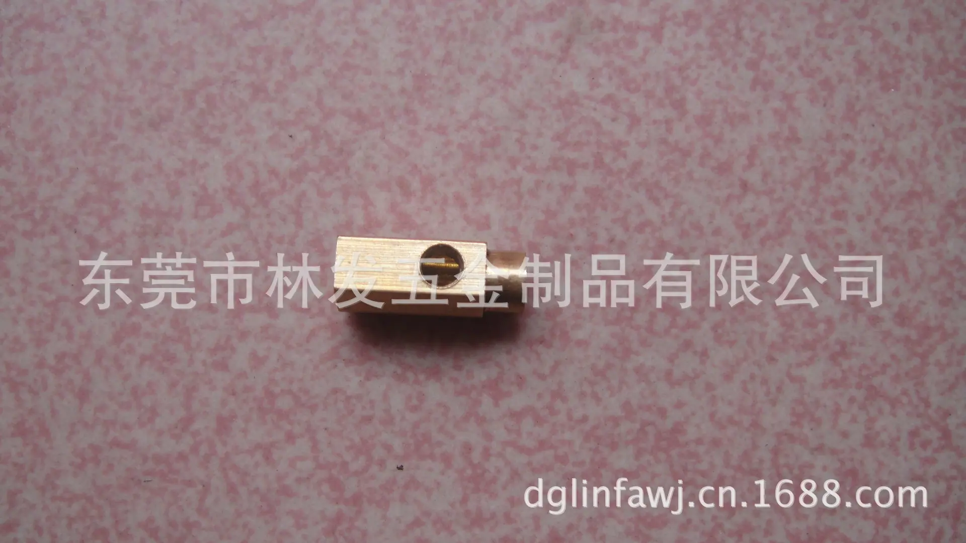 DSC00361