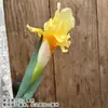 Buquê amarelo multi-cabeça longo ramo rosa peônia hortênsia amarelo claro casamento estrada de casamento fundo de chumbo flor falsa flor de seda