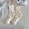 Meias Finas Respiráveis de Verão, Meias de Malha de Cano Médio Estilo Coreano, Meias Coloridas com Desenhos Caídas, Meias Listradas de Renda Sem Costura