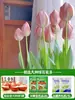 Bulbos de tulipán, plantas de flores hidropónicas, flores de interior que florecen en todas las estaciones, semillas, plántulas de flores en maceta, fáciles de cultivar en tierra o agua