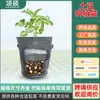 Saco de Plantio Pe Batata Tomate Batata Beleza Saco de Plantio Respirável Saco de Produção com Janela Transfronteiriço Saco de Plantio Respirável