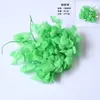 Flores Secas y Frutas Secas Materiales DIY Piñas de Algodón Canela Limón Accesorios para Disparos Paquete de Materiales Manualidades DIY para Jardín de Infancia