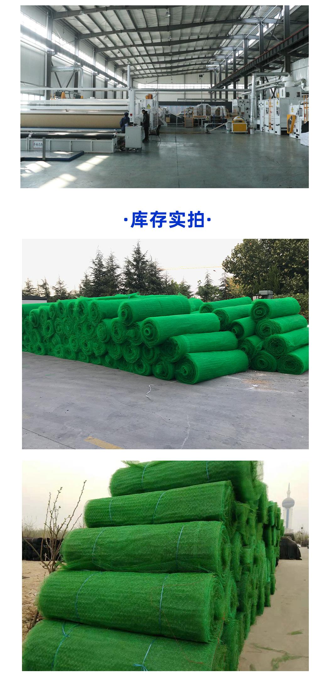 3三维植被网_15.jpg