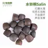 Yunnan Indonésia Fruta Preta Árvore Sino Fruta Natural Casca Sino de Vento Planta Pingente Pacote de Material DIY Feito à Mão Ornamento para Pendurar Venda por Atacado