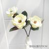 Avanzado Tacto EVA Flor de Magnolia Flor Artificial Sala de Estar Flor Falsa Adornos de Mesa de Comedor Flor de Ceiba Flor Decorativa para el Hogar