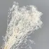 Flor y hierba eternas transfronterizas millón de Nebulosas fábrica del sur al por mayor colorido pequeño cielo estrellado diy flor seca aromaterapia flotante