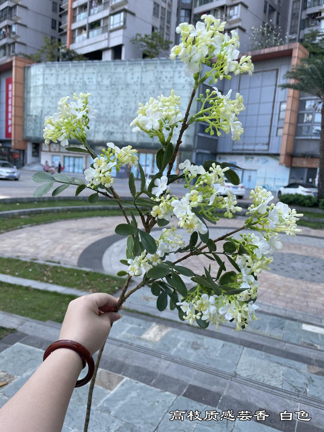 微信图片_20220404153934.jpg
