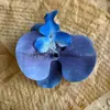 Cabeça de Flor Phalaenopsis Filme de Impressão de Flor Artificial Corsage de Flor 9cm Lembrança Caixa de Presente DIY Decoração de Casamento Exquisite