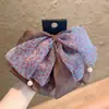 Pinza para el cabello de coleta alta estilo coreano, suave y etérea, con lazo de seda con estampado de leopardo, accesorio para el cabello antideslizante y que no daña, para la parte posterior de la cabeza