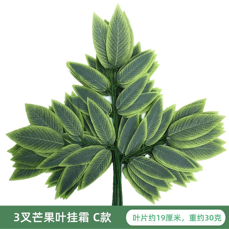 IMG_6785_副本_副本.jpg