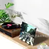 Estante para discos de vinilo combinado de madera de hierro, estante de almacenamiento de discos CD de escritorio, estante de exhibición de LPs plegable