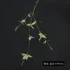 Folhas artificiais de clematis de haste única para decoração de plantas verdes em sala de chá e sala de estar, ornamentos de estilo Zen para casa, flores artificiais atacado