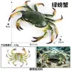 Simulação Cognitiva Vida Marinha Subaquática Animal Brinquedo Modelo Lagosta Grande Selvagem Caranguejo Ervilha Caranguejo Casca Camarão