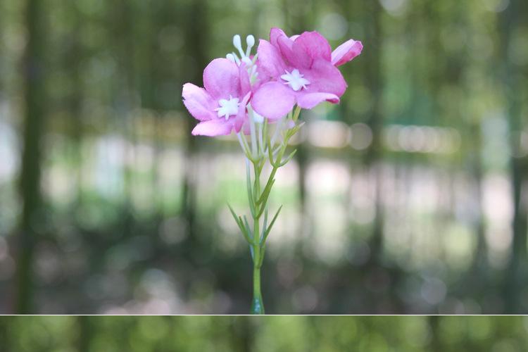 125-花草_09.jpg
