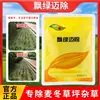 Herbicida Flutuante de Trigo Verde Ophiopogon Japonicus Ao Longo dos Degraus para Remover Capim-Cavalo, Ciperáceas Rotundas, Ciperáceas de Folhas Largas e Pontiagudas