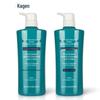 Frasco de Shampoo Personalizado Azul Sólido Grande Capacidade 750ml Material de Embalagem Química Diária Frasco de Shampoo de Plástico PET Tipo Push