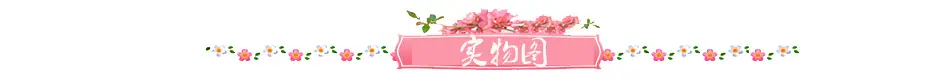 实物图