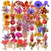 50 piezas de pegatinas de ramo de flores secas estilo vintage, flores eternas artificiales de PET transparente, pegatinas de material floral de lavanda y gypsophila